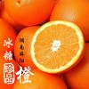 冰糖橙 冰糖柑 柑橘 麻阳冰糖橙 甜橙子 批发零售